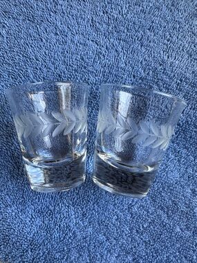 Clear Etched Glass Shot Glasses - Set of 2